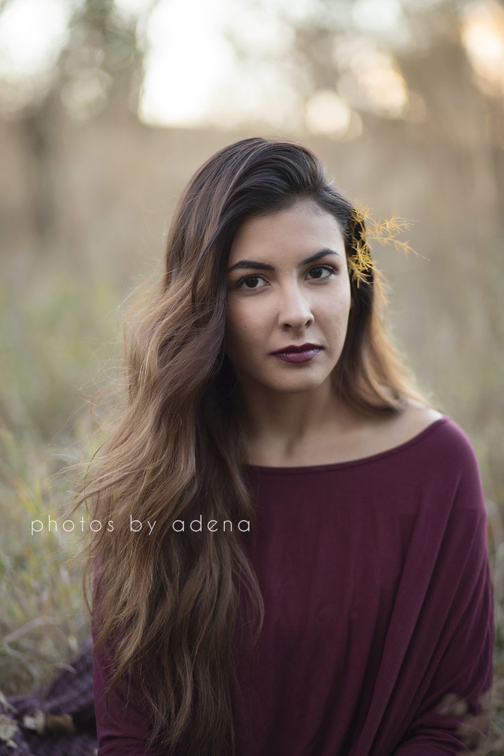 arvada photographer